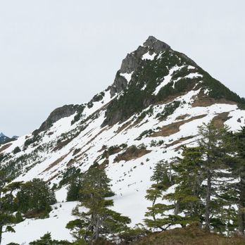 Mt Verstovia Trail - there is the true summit of Verstovia - Hiking Near Me - Sitka, Alaska