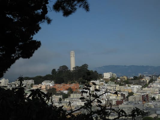 Vallejo Steps by null