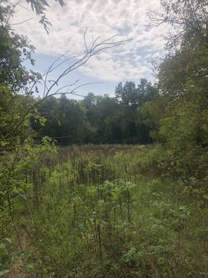 Trinity River Audubon Center by null