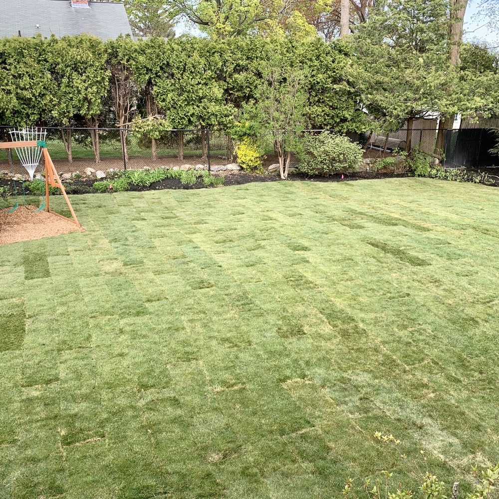 Peter Breen Bark Mulch - Sod down. - Landscaping Near Me - North Andover, Massachusetts Peter Breen Bark Mulch - Sod down. - Landscaping Near Me - North Andover, Massachusetts