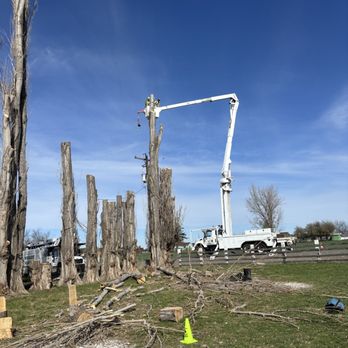 Ascension Tree Care - Tree Services Near Me Ascension Tree Care - Tree Services Near Me