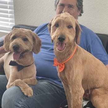 Solano's Ultimutt Grooming - Our boys looking handsome after their grooming. - Pet Groomers Near Me - Vacaville, California Solano's Ultimutt Grooming - Our boys looking handsome after their grooming. - Pet Groomers Near Me - Vacaville, California