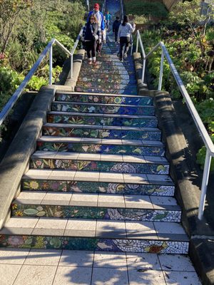16th Avenue Tiled Steps by null