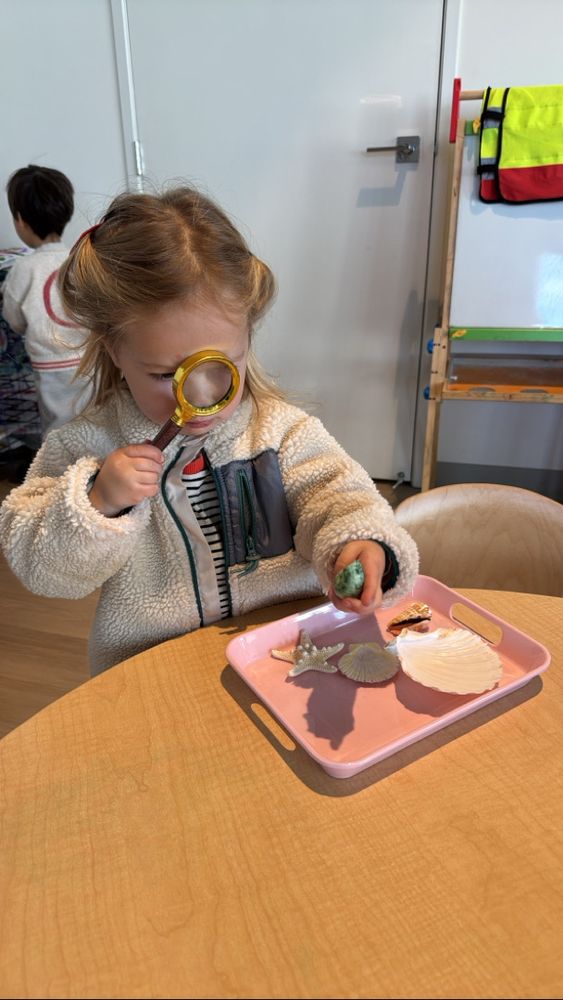 Potrero Hill Montessori School - childcare center in San Francisco, CA