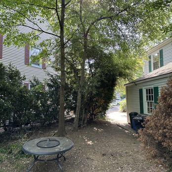 Arbor Care Tree service - Before - Tree Services Near Me Arbor Care Tree service - Before - Tree Services Near Me