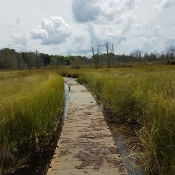 Bishop's Bog Preserve Trail - Summer 2018 boardwalk - Hiking Near Me - Portage, Michigan