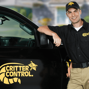 Critter Control of Denver - Pest Control Near Me - Westminster, Colorado Critter Control of Denver - Pest Control Near Me - Westminster, Colorado