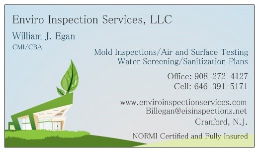 Enviro Inspection Services - mold inspector in Cranford, NJ