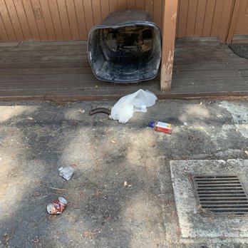 Twain Harte Rentals - More trash - Vacation Rentals Near Me - Twain Harte, California Twain Harte Rentals - More trash - Vacation Rentals Near Me - Twain Harte, California