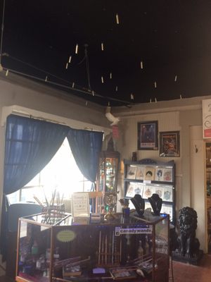 LaSalle Shoppes by null