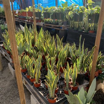 Martinez Nursery - Nurseries & Gardening Near Me - Buena Park, California Martinez Nursery - Nurseries & Gardening Near Me - Buena Park, California