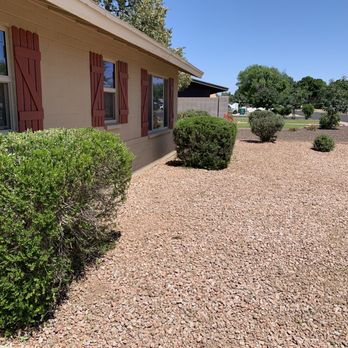 Jaguars Landscaping - After- beautiful! And they trimmed our trees! - Landscaping Near Me - Phoenix, Arizona