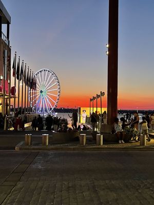 National Harbor by null
