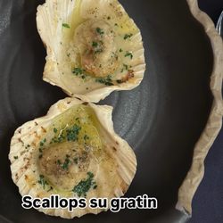 Culinaria - Scallops au gratin