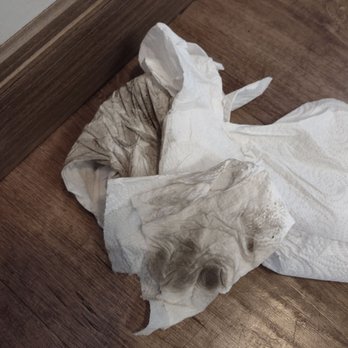 Oceanpoint Ranch - Filthy floors we had to wipe up some water. - Hotels Near Me - Cambria, California