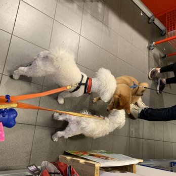 Pets Place - Pet Stores Near Me - Amsterdam, New Hampshire