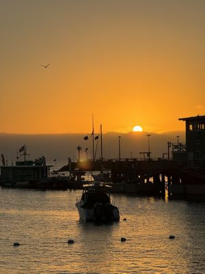 NDMK Fish House by null