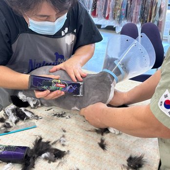 Happy Cat Grooming - Pet Groomers Near Me - Cypress, California