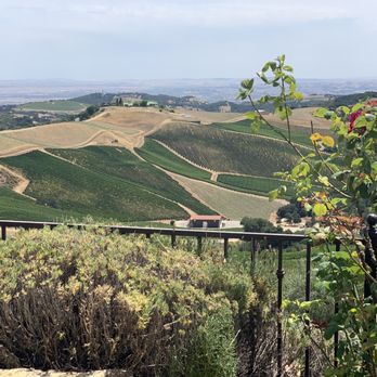 DAOU Vineyards - Wineries Near Me - Paso Robles, California