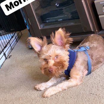 PETS Referral Center - My Baby - Veterinarians Near Me - Berkeley, California PETS Referral Center - My Baby - Veterinarians Near Me - Berkeley, California