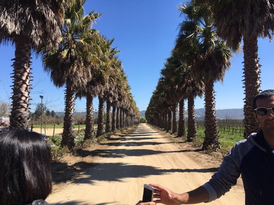 Bodegas RE by null