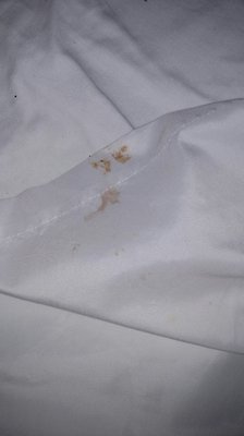 White Hall Nursing and Rehabilitation Center