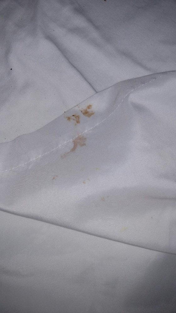 WHITE HALL NURSING AND REHABILITATION CENTER Updated June 2024 620