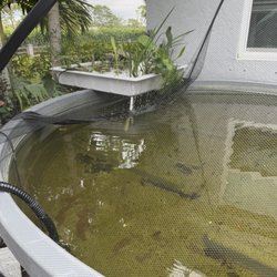Healthy Hydro - Cracked flood table that is leaking very badly, pitched to flow into pond leak is on opposite side of