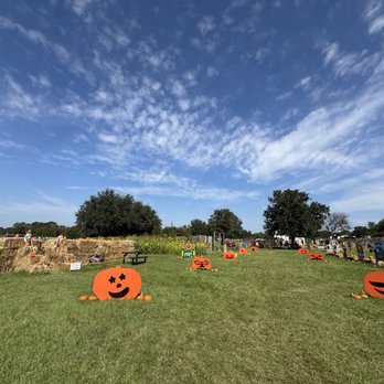 Team Family Farm - Pumpkin Patches Near Me - Aubrey, Texas Team Family Farm - Pumpkin Patches Near Me - Aubrey, Texas