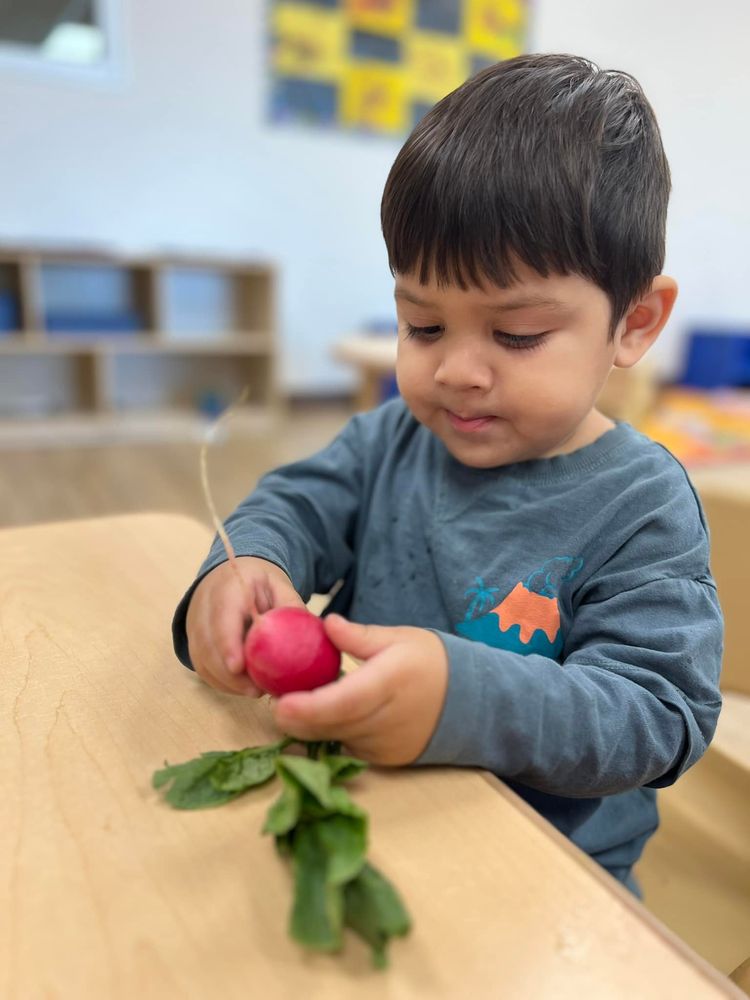 Children's Lighthouse of Cedar Park - Brushy Creek - childcare center in Cedar Park, TX