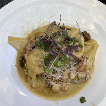 Harvest - Organic Chicken & Mushrooms Pappadelle - Wine Bars Near Me - New Haven, Connecticut