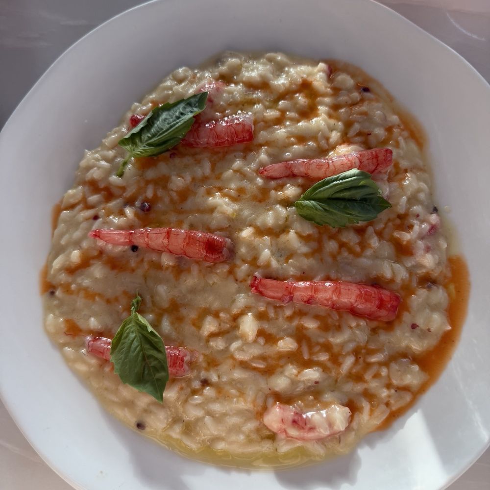 Levant - Risotto - Mediterranean Near Me - San Juan, Puerto Rico