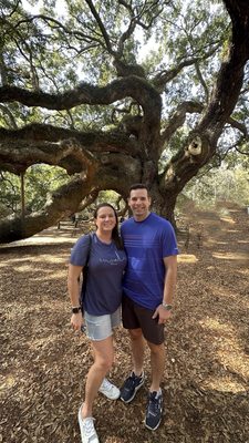 Angel Oak Tree by null