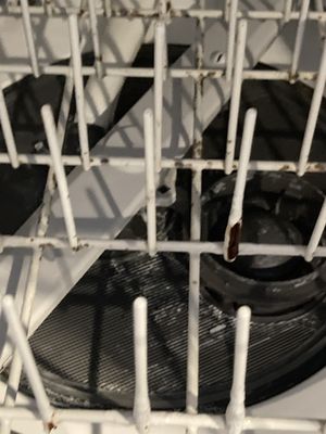 Catalina Island Vacation Rentals by null