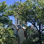 Photo of St Vladimir Memorial Church