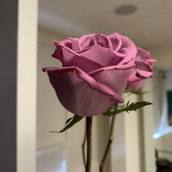 Floral Art And Decor - Over 1 month old! - Floral Designers Near Me - Burlingame, California Floral Art And Decor - Over 1 month old! - Floral Designers Near Me - Burlingame, California