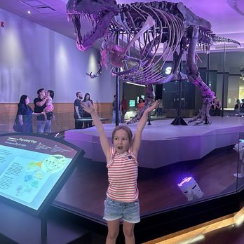 Field Museum - Museums Near Me - Chicago, Illinois