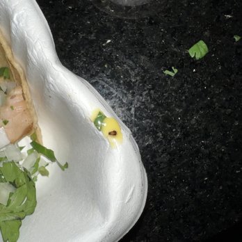 Los Panchos - Cockroach - Tacos Near Me - Ciudad de México, DIF Los Panchos - Cockroach - Tacos Near Me - Ciudad de México, DIF