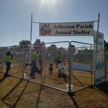 Jefferson Parish Pet Fest - Pet Adoption Near Me - Metairie, Louisiana Jefferson Parish Pet Fest - Pet Adoption Near Me - Metairie, Louisiana