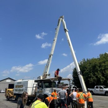 Beswick Tree Service - Photo - Tree Services Near Me - Hamilton, Ontario