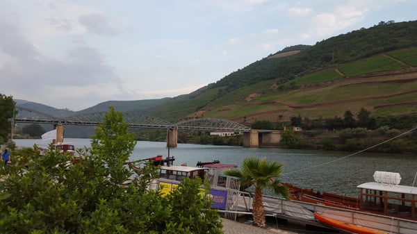 The Vintage House Hotel, Douro by null