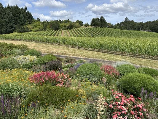 Patricia Green Cellars by null