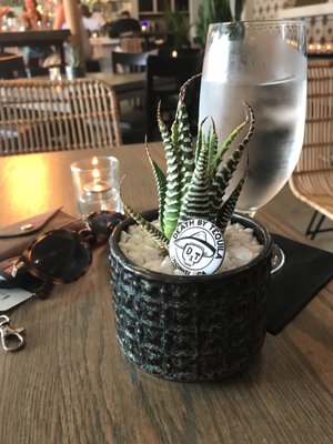 Death By Tequila by null