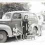 Photo of Uneeda Cleaners drycleaning and restoration