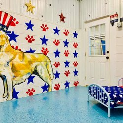 Golden Paws Pet Care Services - American Suite: Includes web camera for owners' viewing & FREE Daycare & Medication administration!