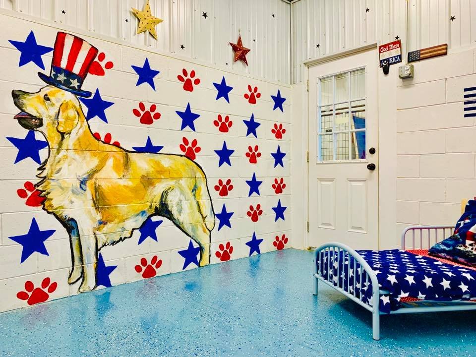 Golden Paws Pet Care Services - pet boarding facility in Derby, NY