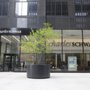Photo of Charles Schwab