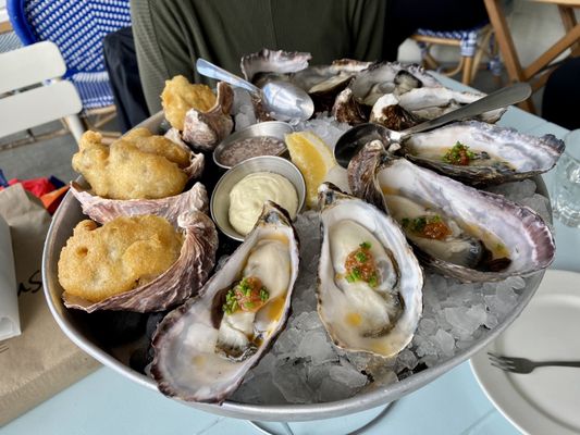 The Oyster Inn by null