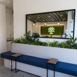 Forest Manor Dental - Reception 2