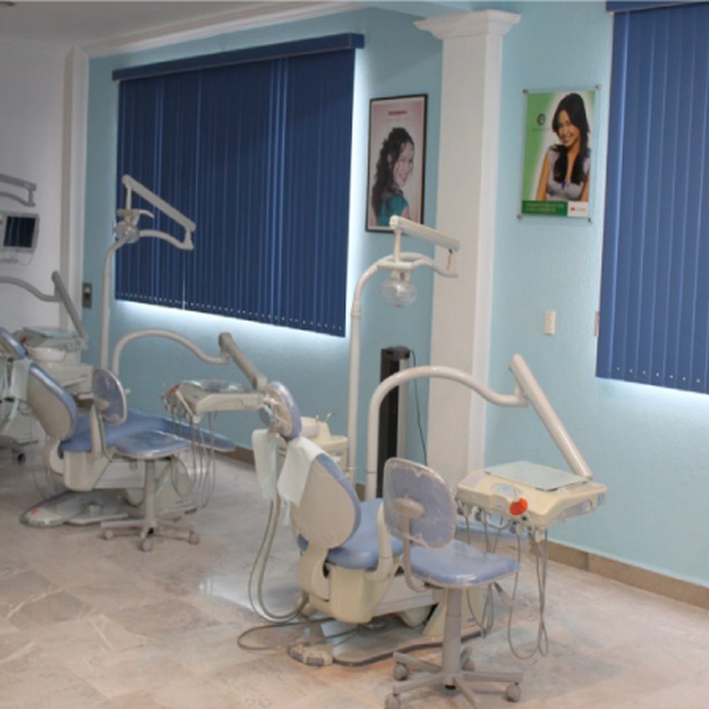 TOP 10 BEST Dentistas in Cuernavaca, Morelos, Mexico - Updated 2026 - Yelp